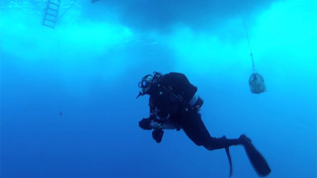 A scuba diver floats below the surface