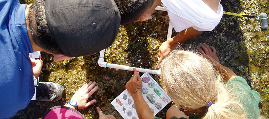 photo of teachers and students gathering samples at a beach