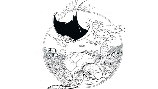 illustration of fish and reef