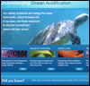 Ocean Acidification Activities