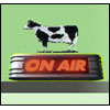 Radio Show Icon