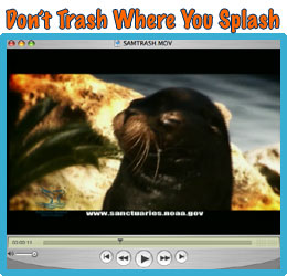 don't trash where you splash video