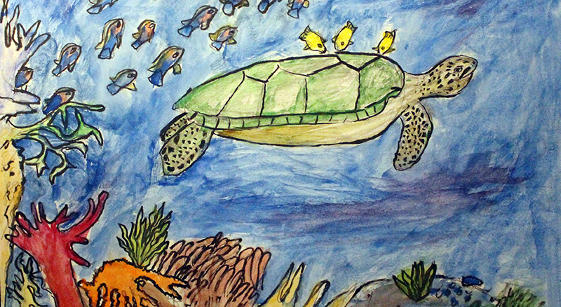 Drawing of a turtle
