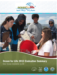2013 Evaluation Summary cover