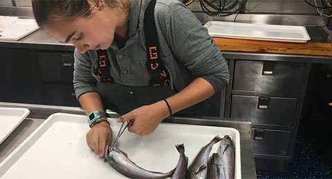 photo of a student inspecting fish