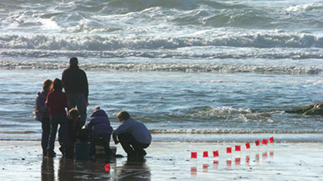 people gathering water samples from the beach