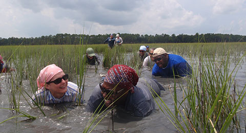 photo of children and teachers in a marsh