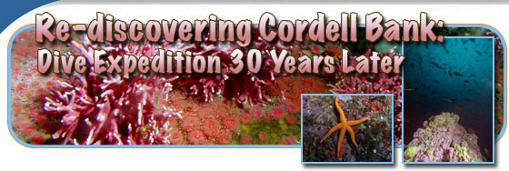 2010 Cordell Bank Reef Crest Surveys