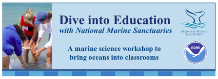Dive into Education banner