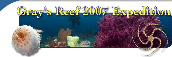 Gray's Reef 2007 Expedition