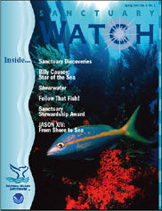 Sanctuary Watch Cover 