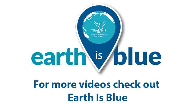 check out earth is blue for more sanctury photos and videos