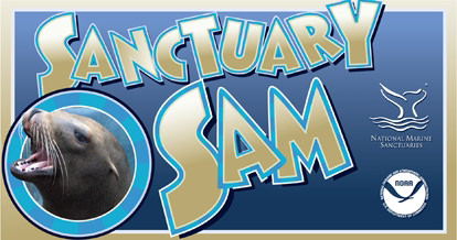 sanctuary sam logo