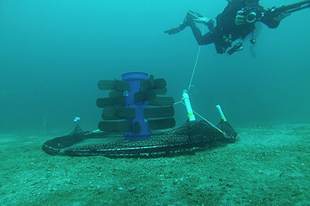 a fish aggregation device (fad) with two hinged half-hoops covered in mesh netting lie open. a diver is filming near the trap