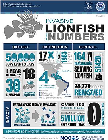 Lionfish by the numbers infograph