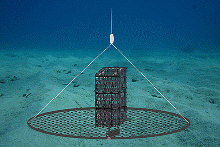 a drawing two hinged half-hoops covered in mesh netting lie open on the ocean floor