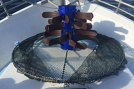 purse trap on the deck of a boat