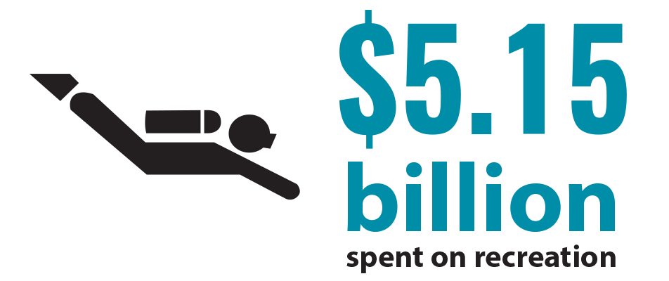 $5.15 billion spent on recreation