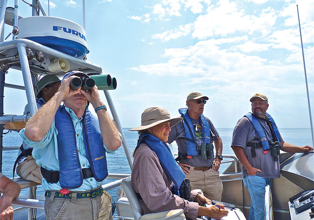 volunteers on a boat counting seabirds