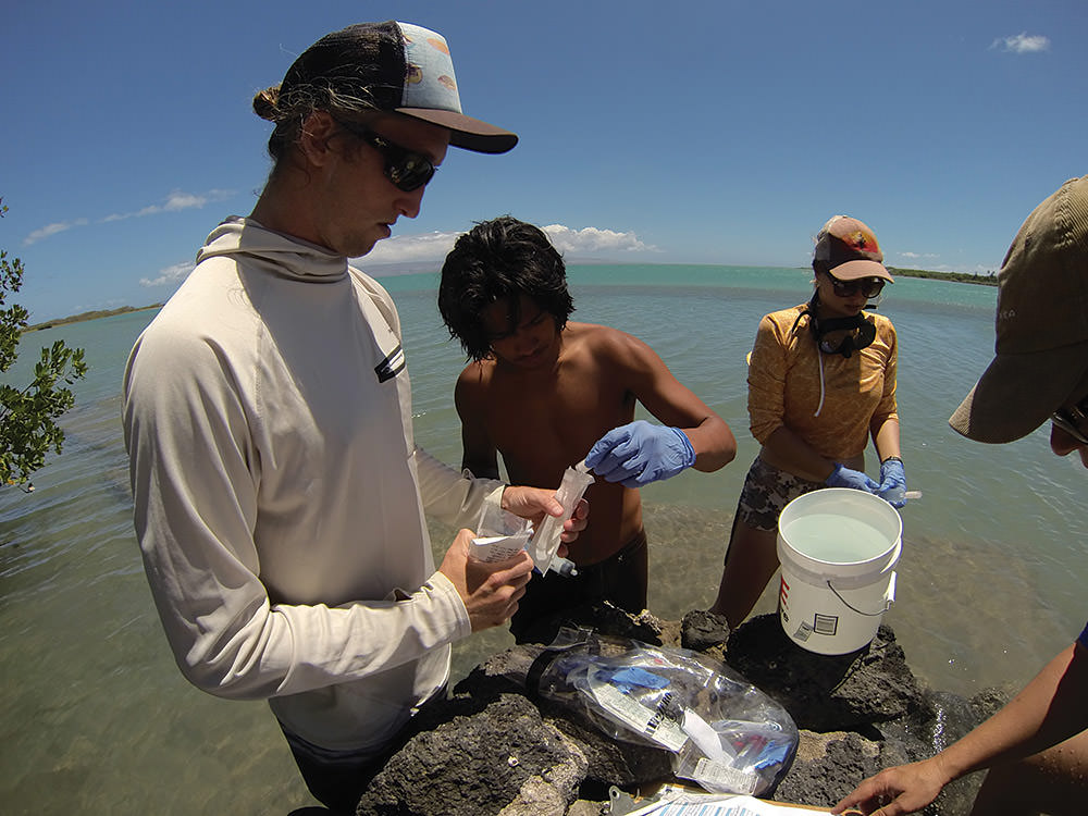 mike fox examining samples collected from the water