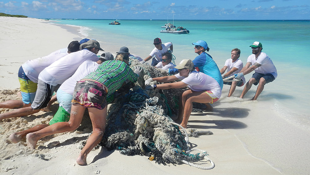 volunteers removing fishing line from the beach and the water