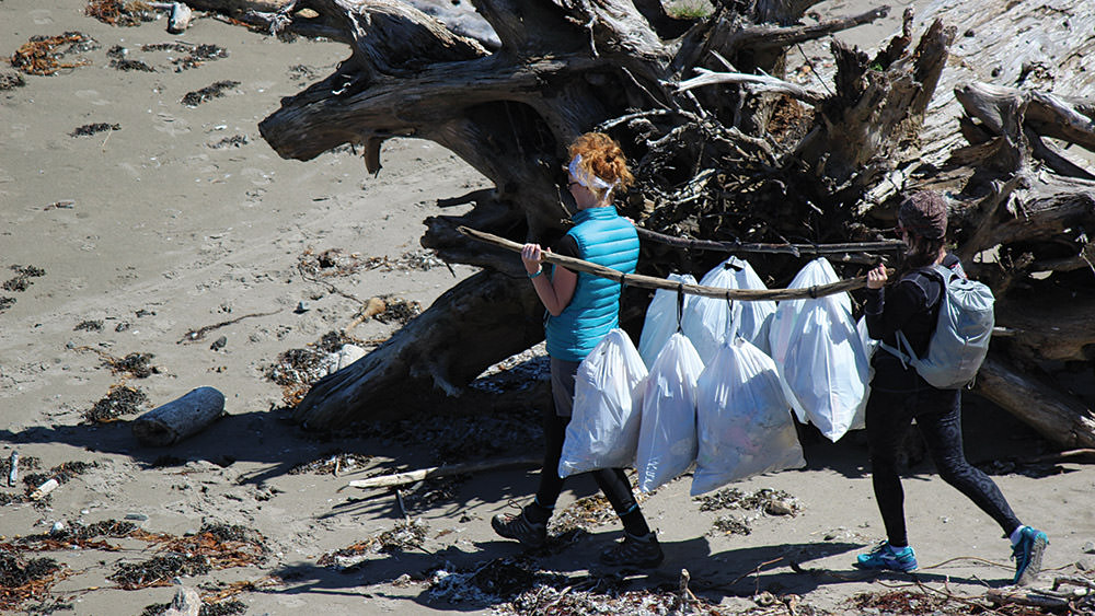 volunteers removing debris from a beach
