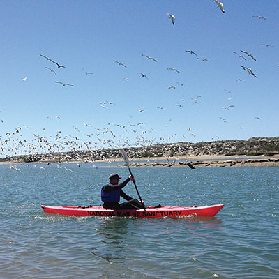man kayaking Monterey Bay NMS; Kate Thompson/NOAA;