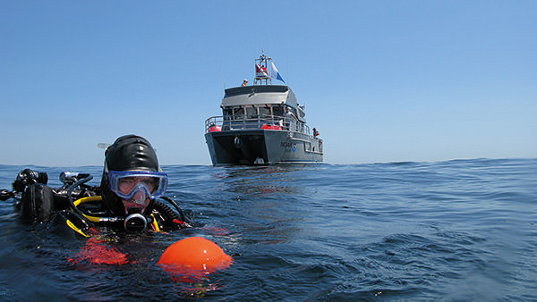diver surfaces from under water while a boat sits in the background