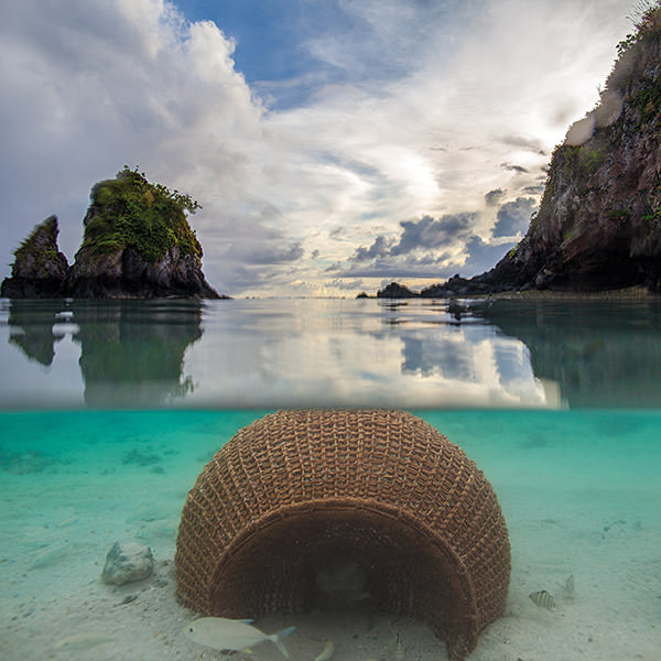 fish basket in the waters of american samoa