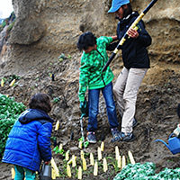 students removing non-native invasive plants