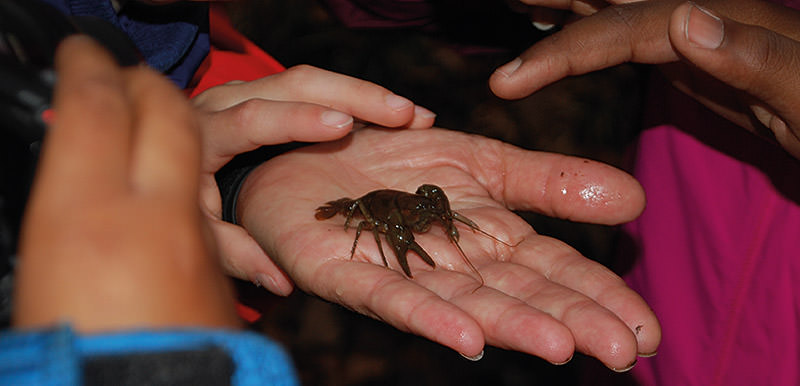 student holding a crustacean in hand