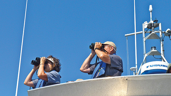 two Stewards with binoculars