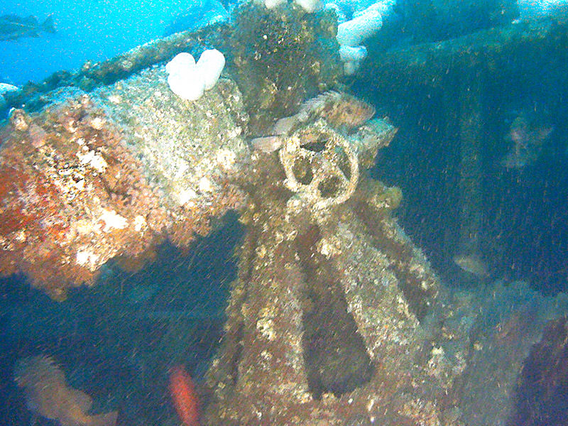 conestoga gun underwater covered in marine life