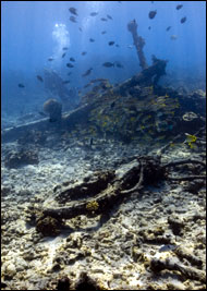Artifacts at the wreck site of an unidentified large wooden sailing vessel, likely the four-masted schooner Churchill at French Frigate Shoals (Credit: Tane Casserley/NOAA)

