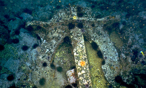 anchor of SS cuba encrusted with sea life