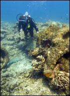 Diver and windlass at Carrollton site, Midway Atoll