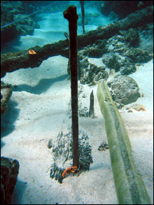 Copper fasteners protrude from the oak keel in the sand, indicating the position of timbers in the bottom of the ship.  A lead pipe lies to the right.