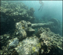 A NOAA diver floats above one of two large paddle wheel shafts and hub beneath the surf zone of the reef crest at Kure Atoll.