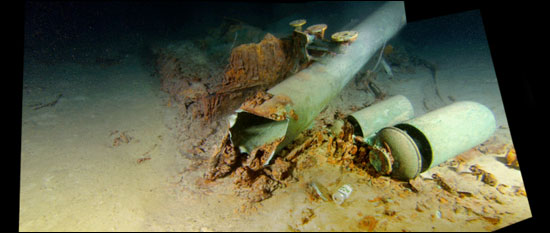Just off the whistles, a modern metal beer can has come to rest on the seabed.  