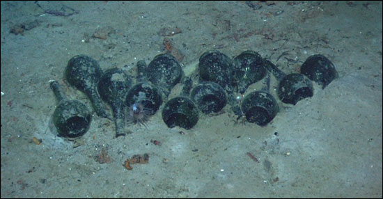 Bottles resting on the seabed outline a now disintegrated wooden crate that held them, 2004.