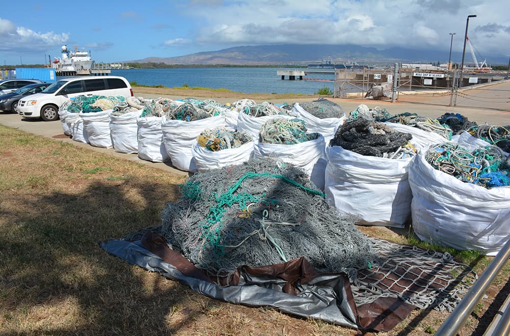 many bags on shore of collected marine debris