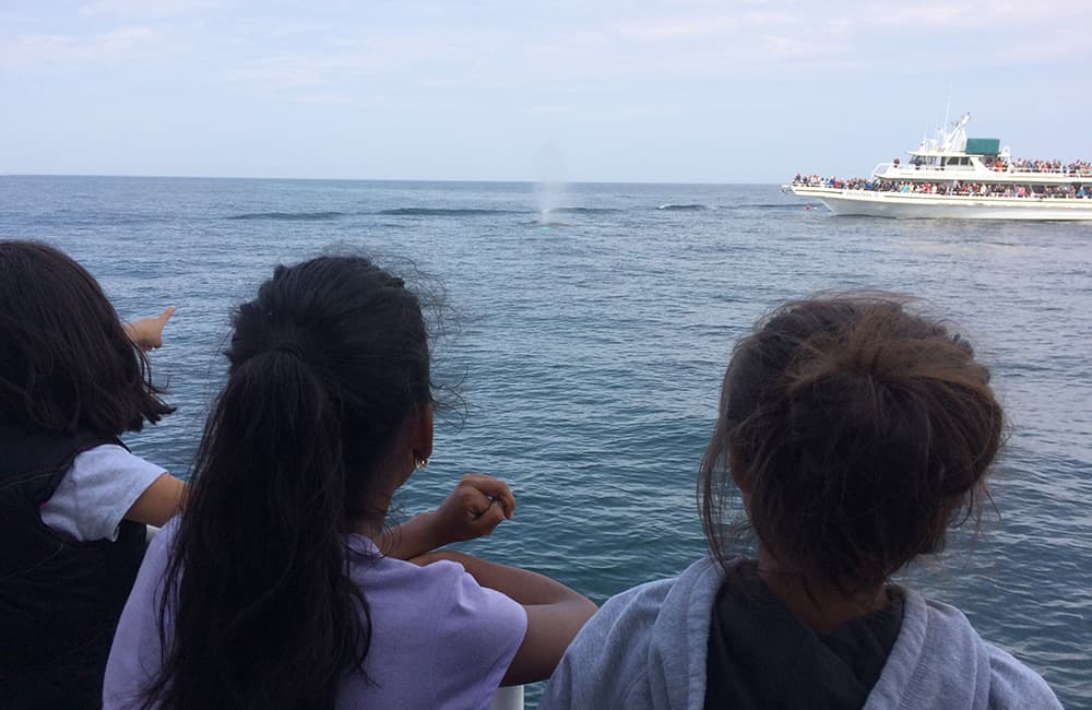 kids whale watching with another ship in the background