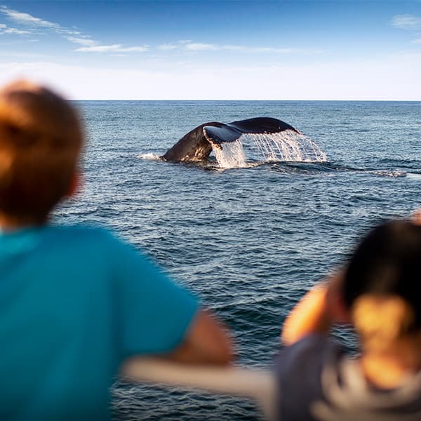 kids watching a whale breach from a boat