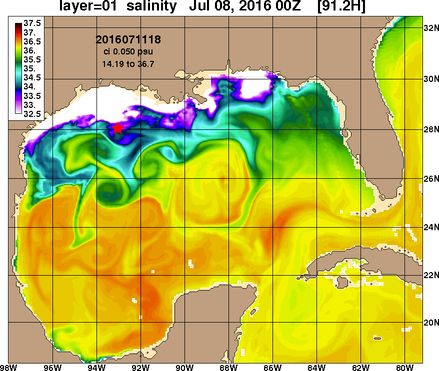 gif showing salinity levels in the gulf of mexico