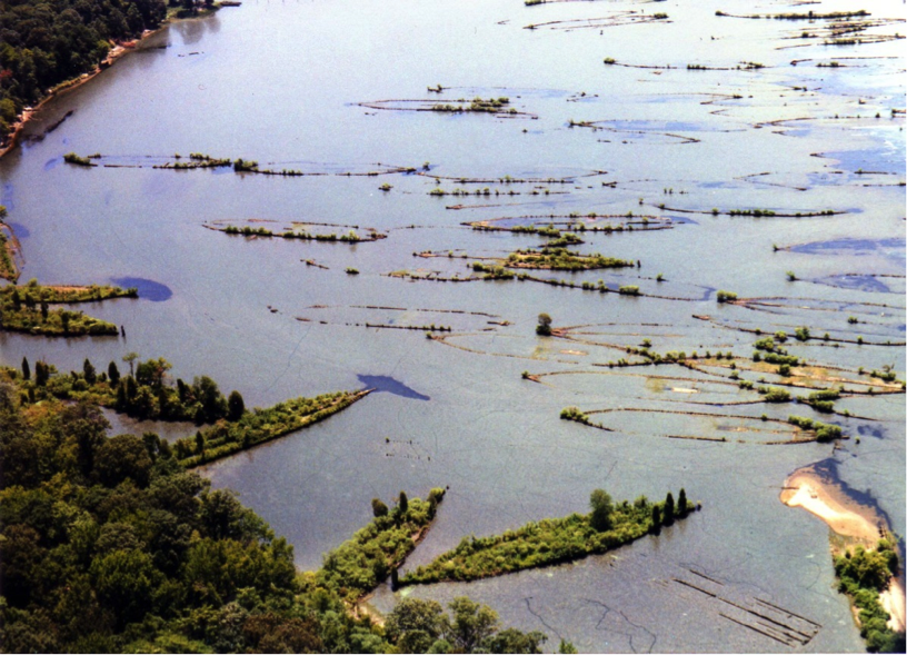 An aerial view of Mallows Bay-Potomac River National Marine Sanctuary