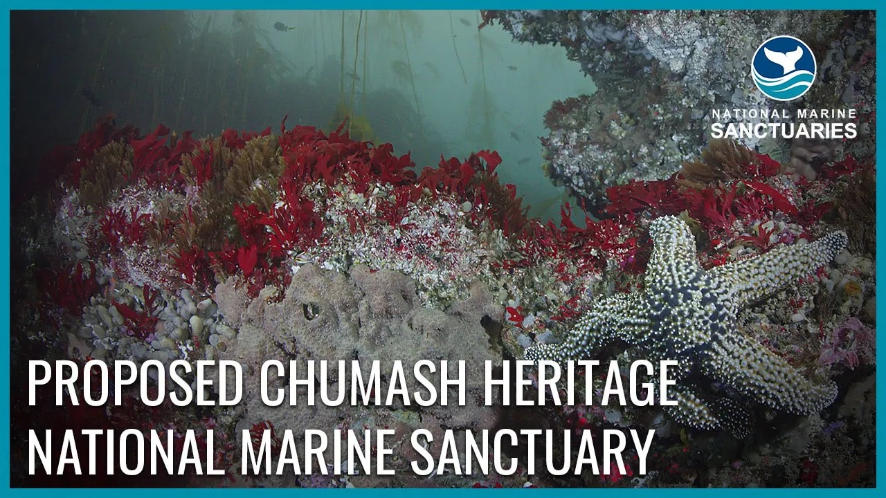 An aerial shot of a coastline with the words proposed chumash heritage national marine sanctuary overlaid