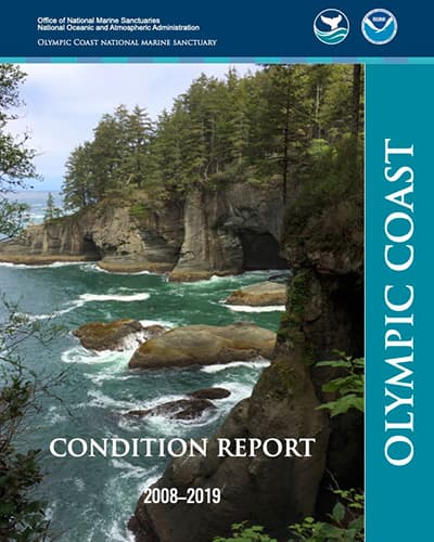 report cover: a rocky coastline