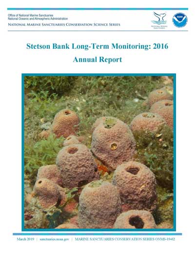 stetson bank long-term monitoring: 2016 annual report cover