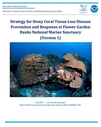 Strategy for Stony Coral Tissue Loss Disease Prevention and Response at Flower Garden Banks National Marine Sanctuary (Version 1) report