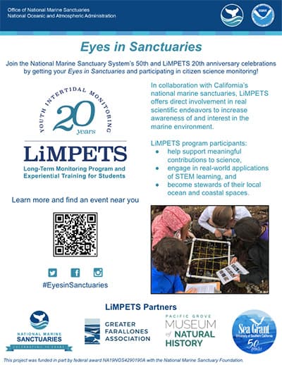 Eyes in Sanctuaries Info Sheet